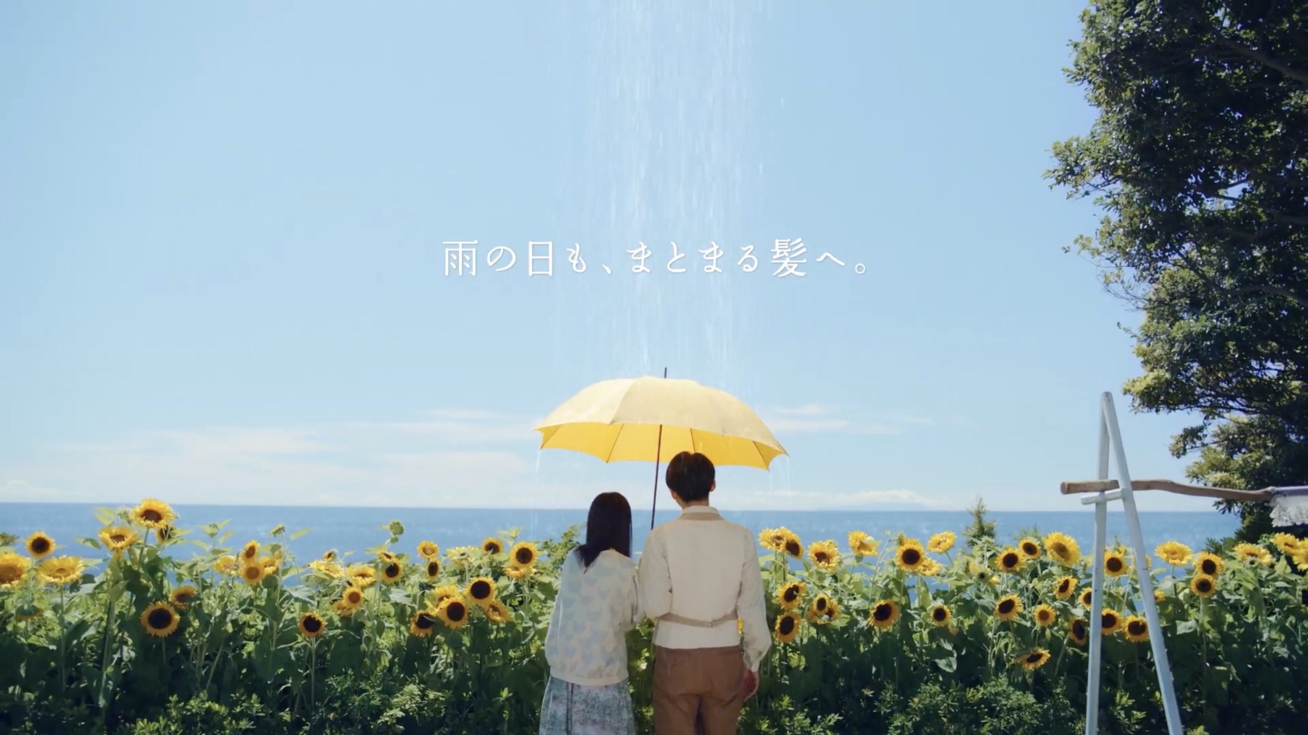 TVCM / Kracie「DearBeaute HIMAWARI」/ 高橋一生